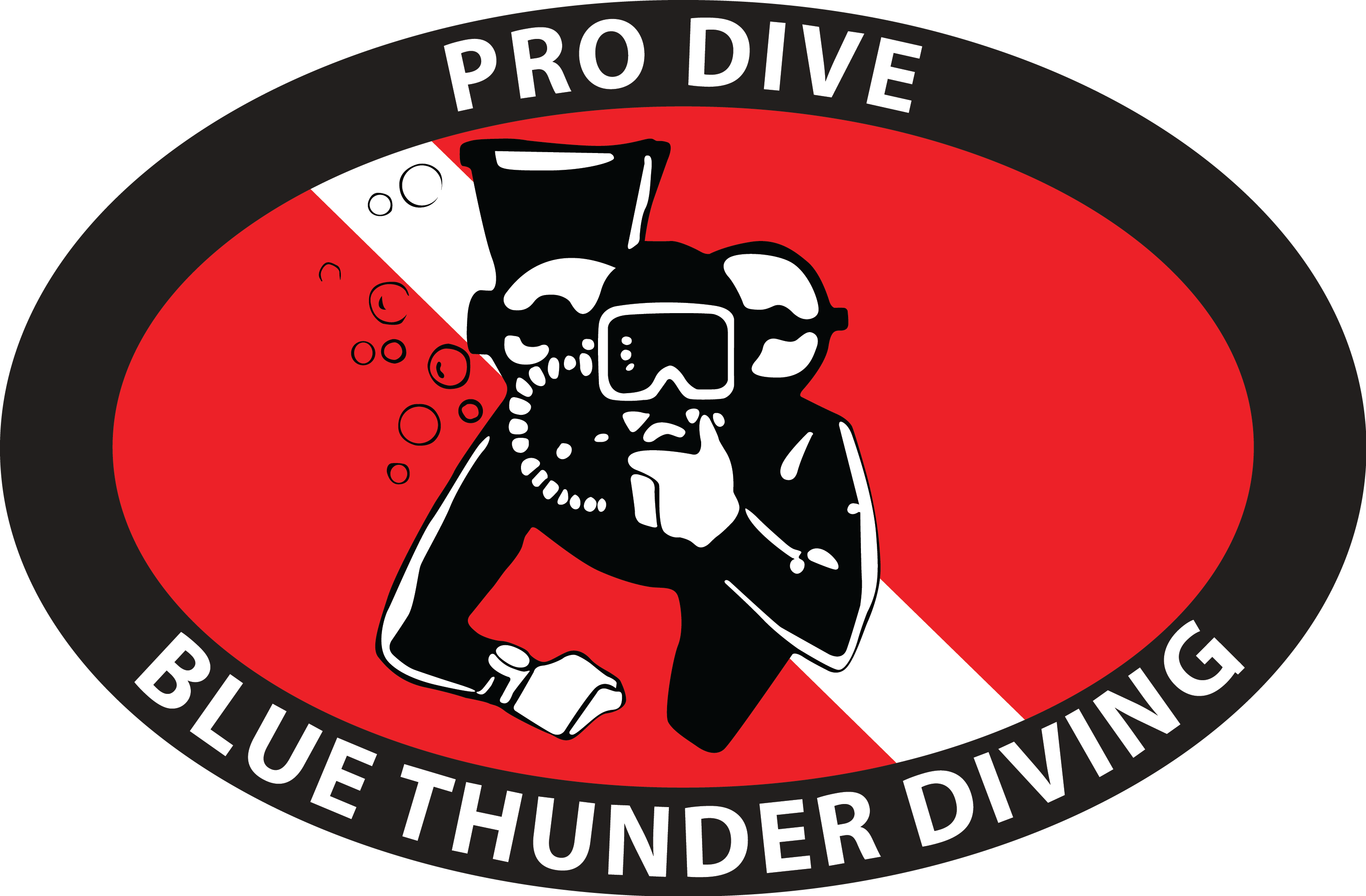 cropped-Prodive.png